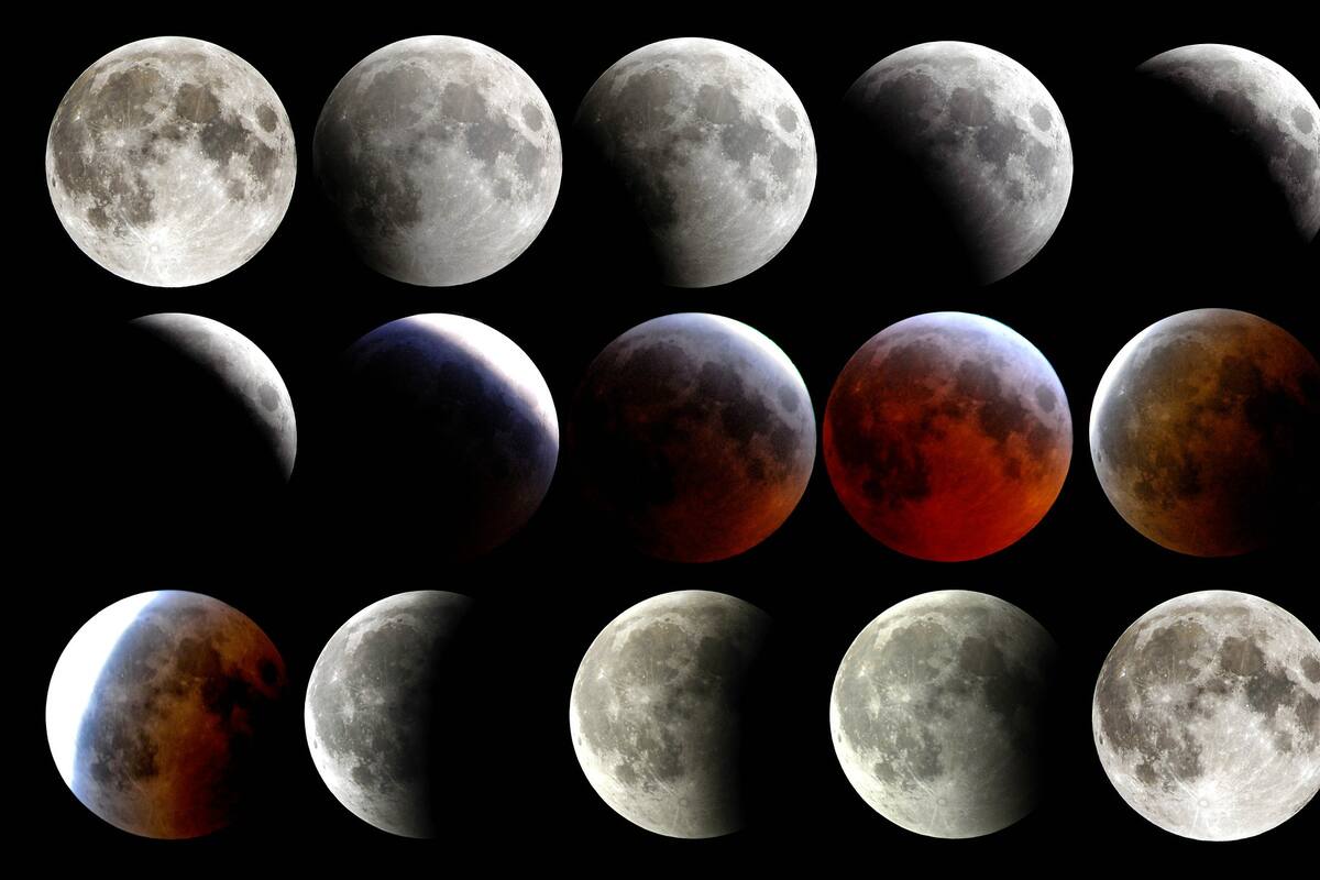 Luna llena del Lobo: El 10 de enero ocurrirá el primer eclipse de luna del 2020 y del decenio