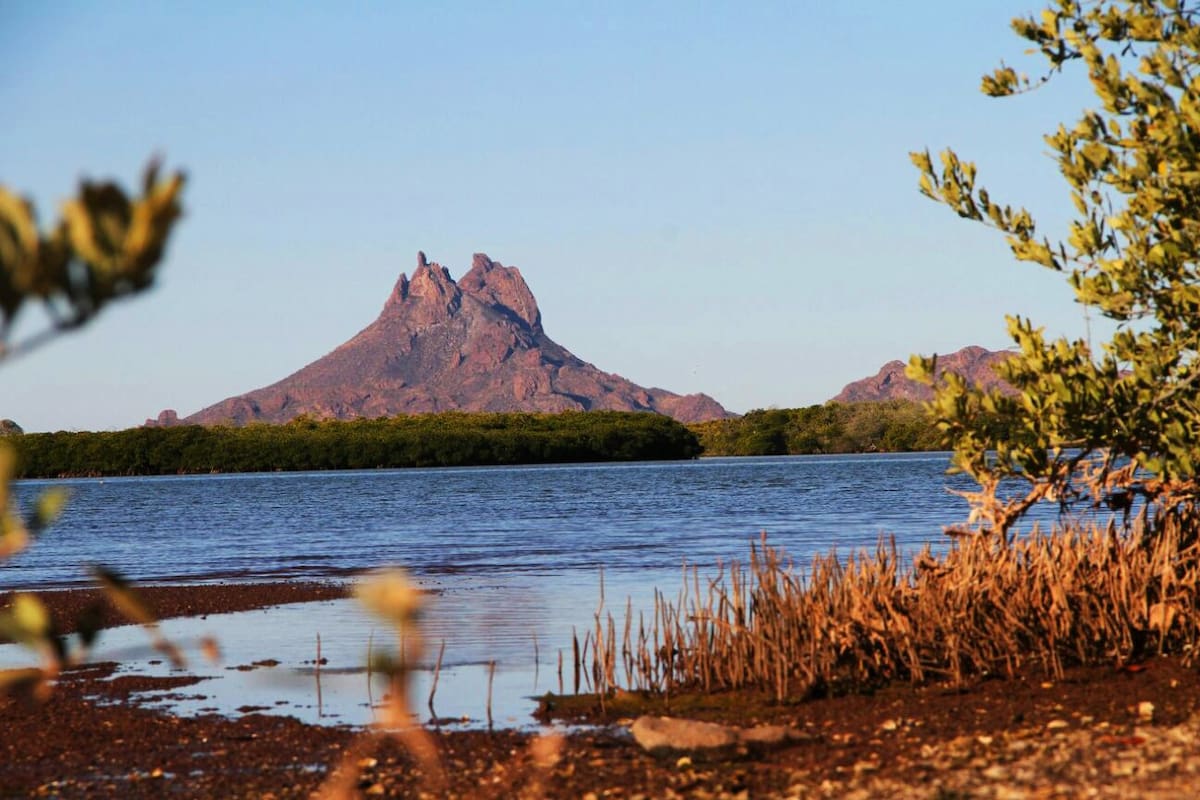 Día de la Tierra: Cuáles son las Áreas Naturales Protegidas en Sonora por las que luchan organizaciones para conservar