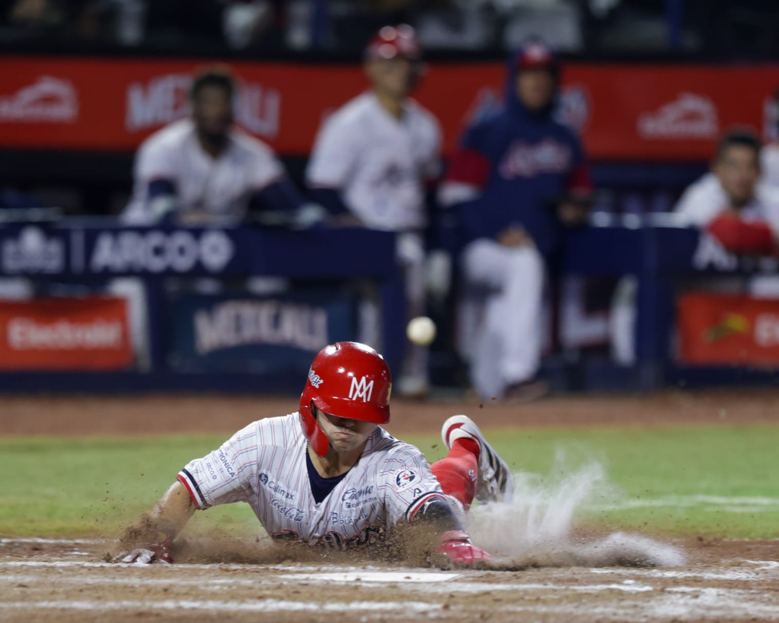 Foto: Javier Gallegos.