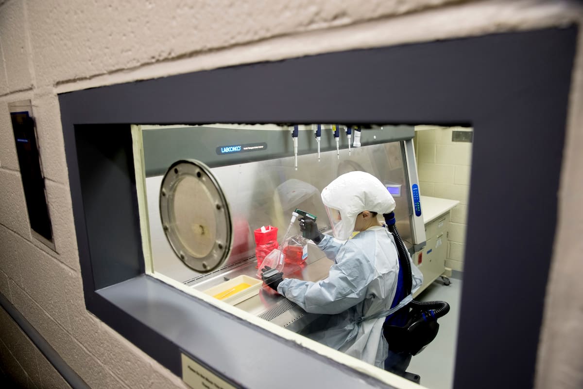 ARCHIVO - En esta foto del 19 de marzo del 2020, la científica Andrea Luquette prepara muestras de coronavirus para pruebas en el Comando de Investigaciones y Desarrollo Médicos del Ejército en Fort Detrick, en Frederick, Maryland, donde científicos está trabajando para crear soluciones para prevenir, detectar y tratar el coronavirus. (AP Foto/Andrew Harnik)
