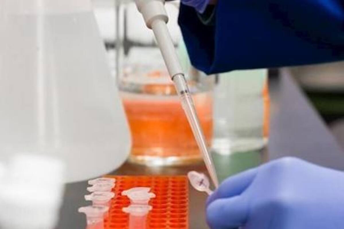 Gobernador de California emite lineamientos para combatir pandemia de Covid-19