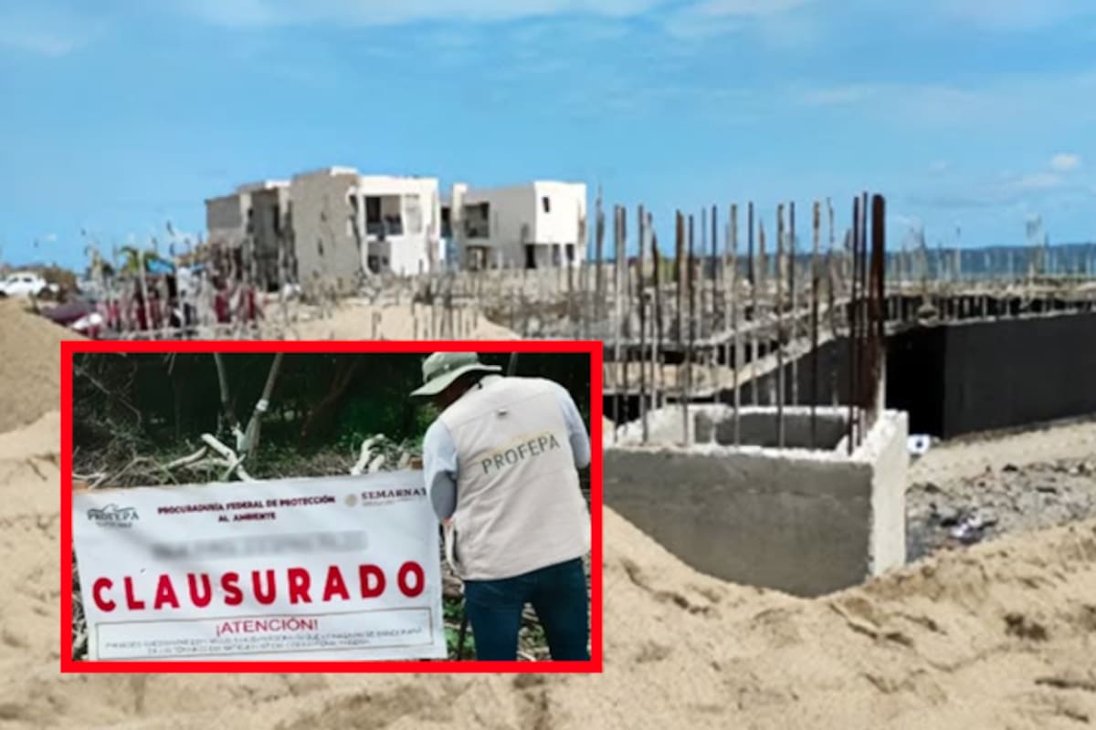 Clausura Profepa predio en Oaxaca por daño ambiental en terreno forestal