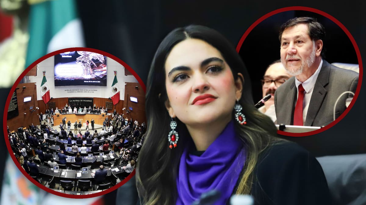 Morena debate el relevo en el Senado: Andrea Chávez entra en la conversación. FOTO: Especial