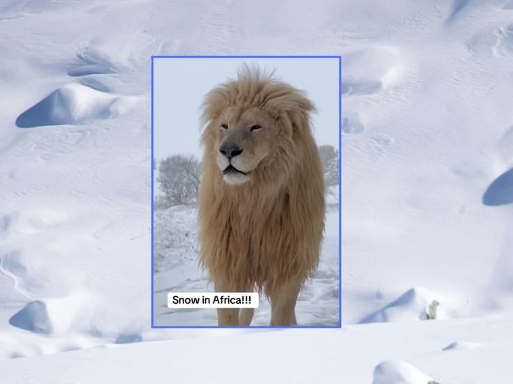 Sorprendente: así reacciona un león al ver nieve por primera vez