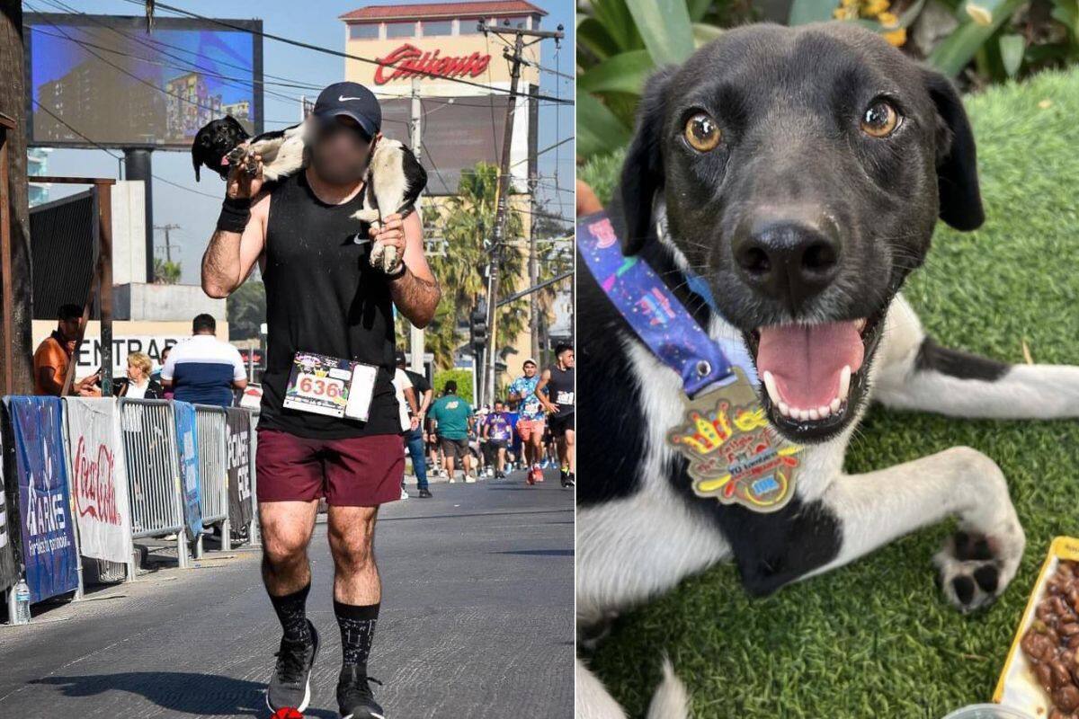 Hombre en maratón carga perro atropellado pero lo abandona, ahora no encuentran al perrito para ayudarlo