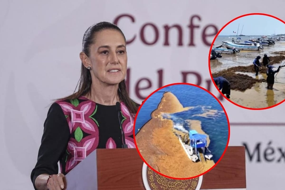 Mientras el sargazo alcanza niveles históricos, Sheinbaum invita a visitar las playas de Quintana Roo; refuerzan estrategia con inversión millonaria