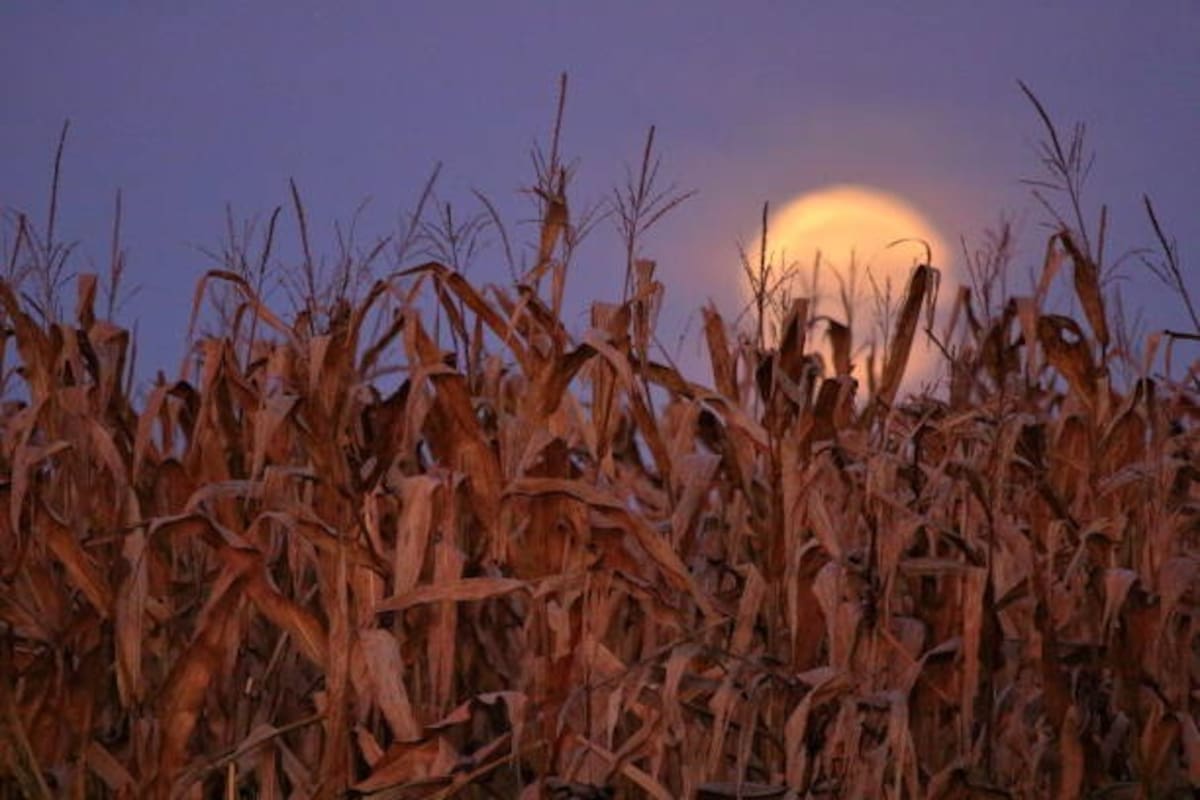 Septiembre 2025 traerá luna de maíz, eclipses y el equinoccio de otoño