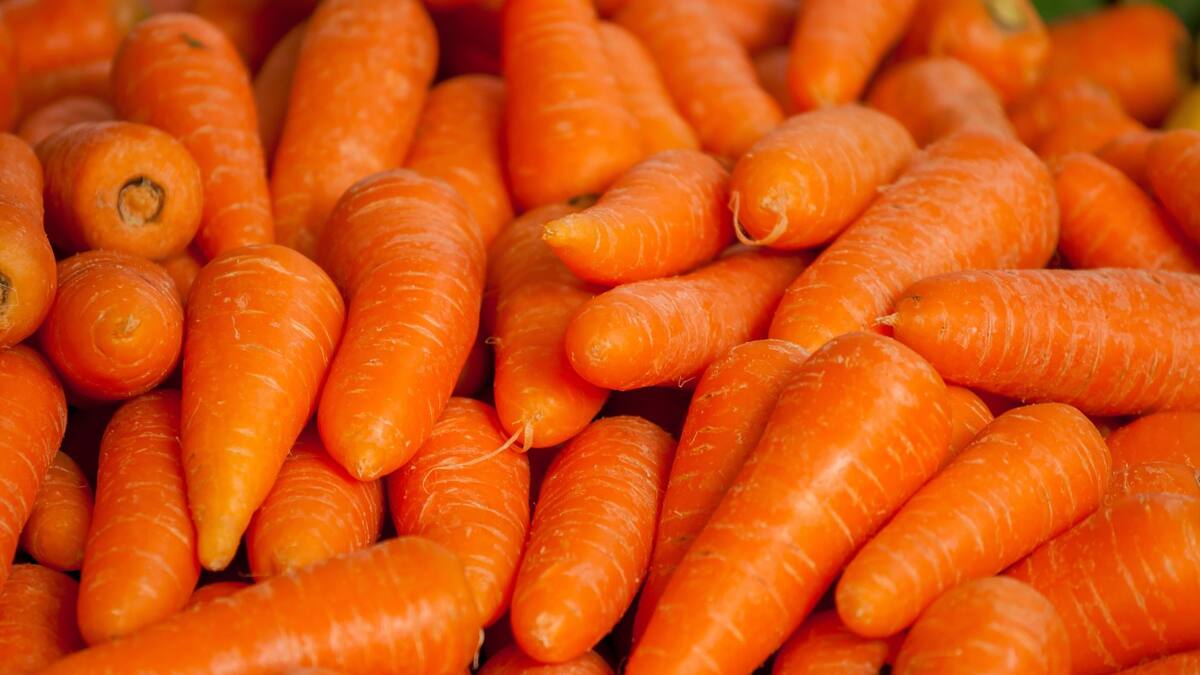 Beneficios cardiovasculares de la zanahoria | Foto: especial