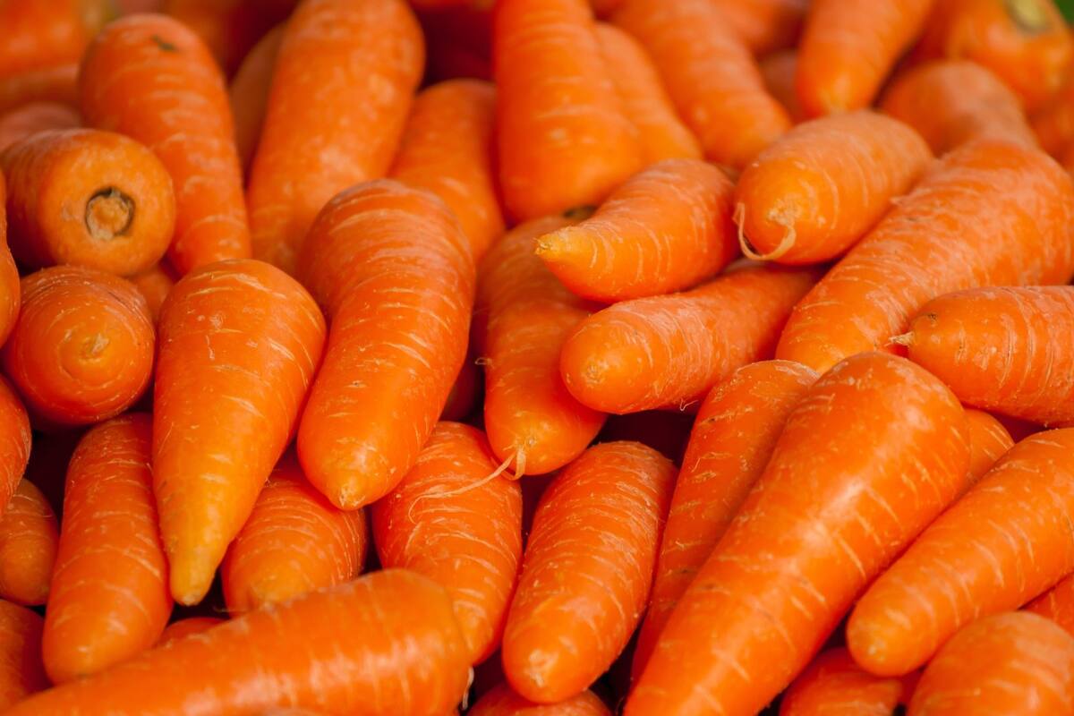 Jugo de zanahoria y cúrcuma: un refuerzo natural con respaldo científico