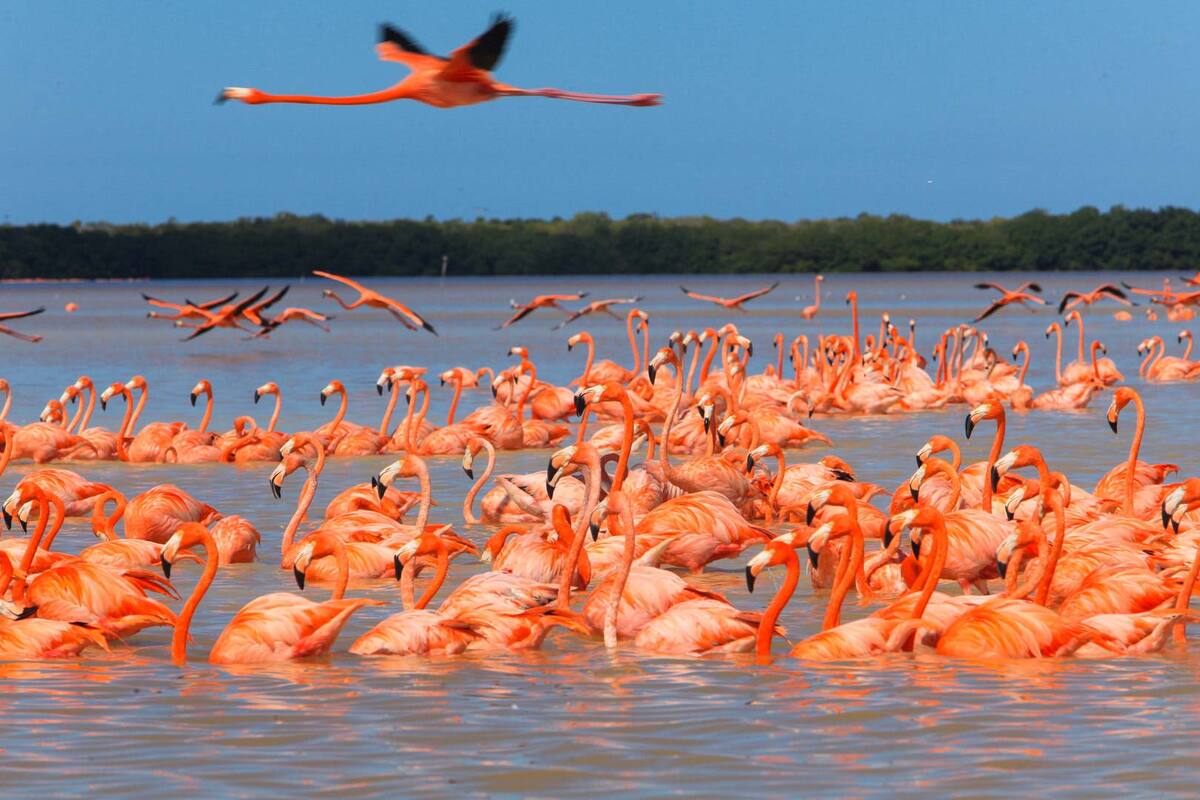Visita estos 5 destinos ecoturísticos en el primer fin de semana largo