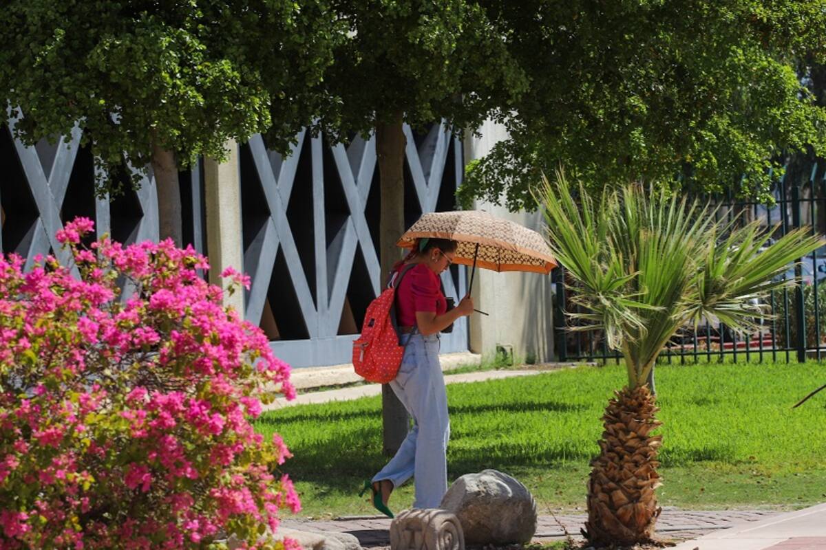 Clima Mexicali: Continúan las semanas cálidas