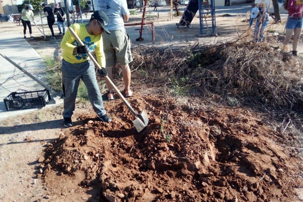 Plantan 15 mezquites en parque del sector Oasis Lantana