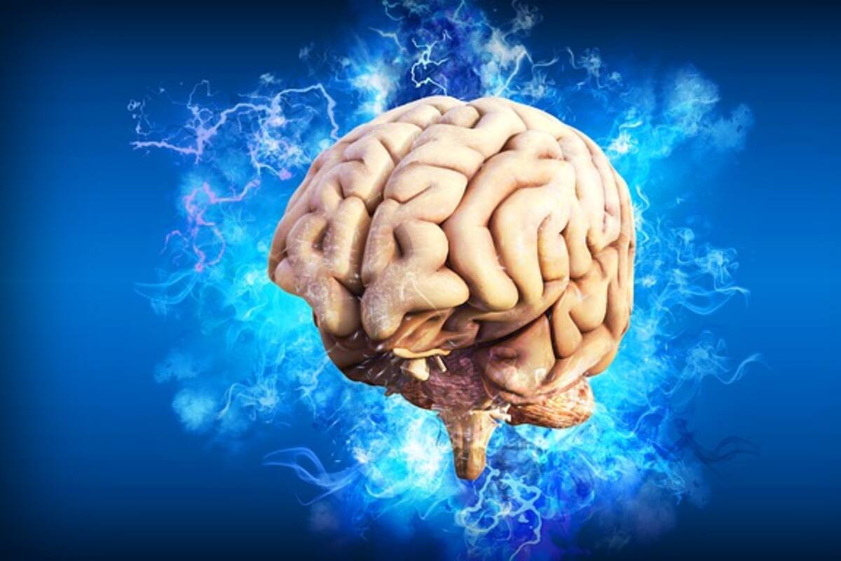 Diez datos sobre el cerebro humano que tal vez no conocías