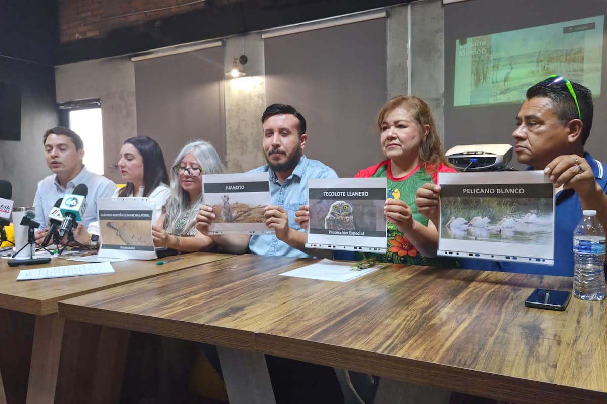 Organizaciones piden proteger el sistema lagunar de Mexicali como Área Natural Protegida