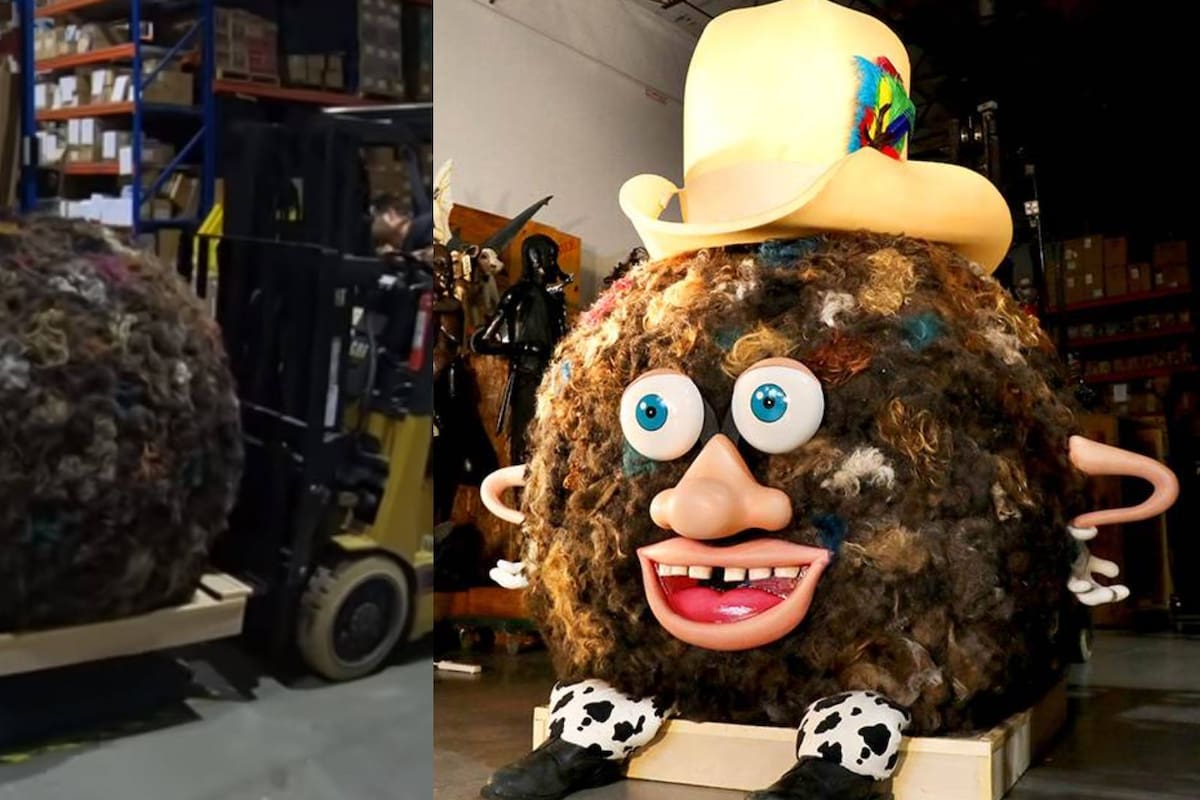 “Hoss” la bola de pelo más grande de la historia; Récord mundial