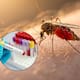 Sonora supera los mil casos de dengue; van 1,020 casos