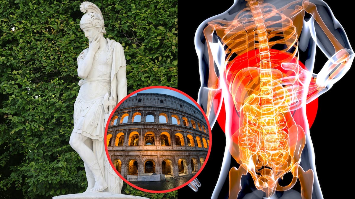 Parásitos intestinales afectaban a soldados romanos en la frontera norte del Imperio, según expertos