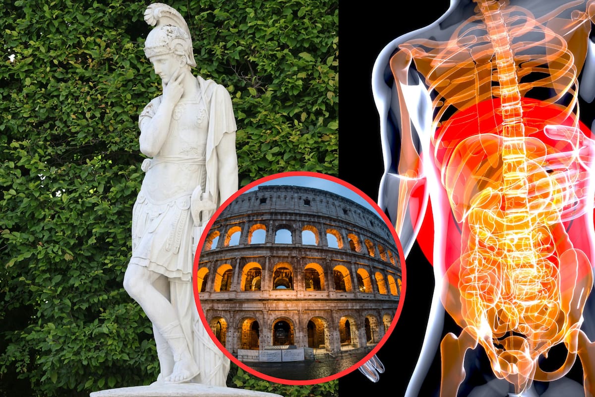 Parásitos intestinales afectaban a soldados romanos en la frontera norte del Imperio, según expertos