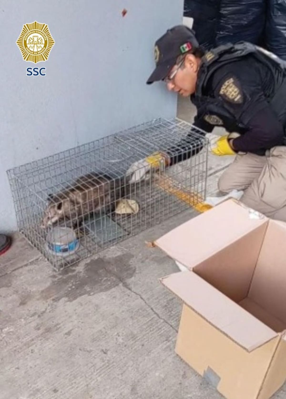 Foto: SSC CDMX.