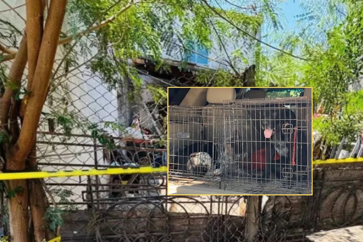 Por un descuido de su abuelo, bebé de 6 meses muere atacado por dos perros en Matamoros
