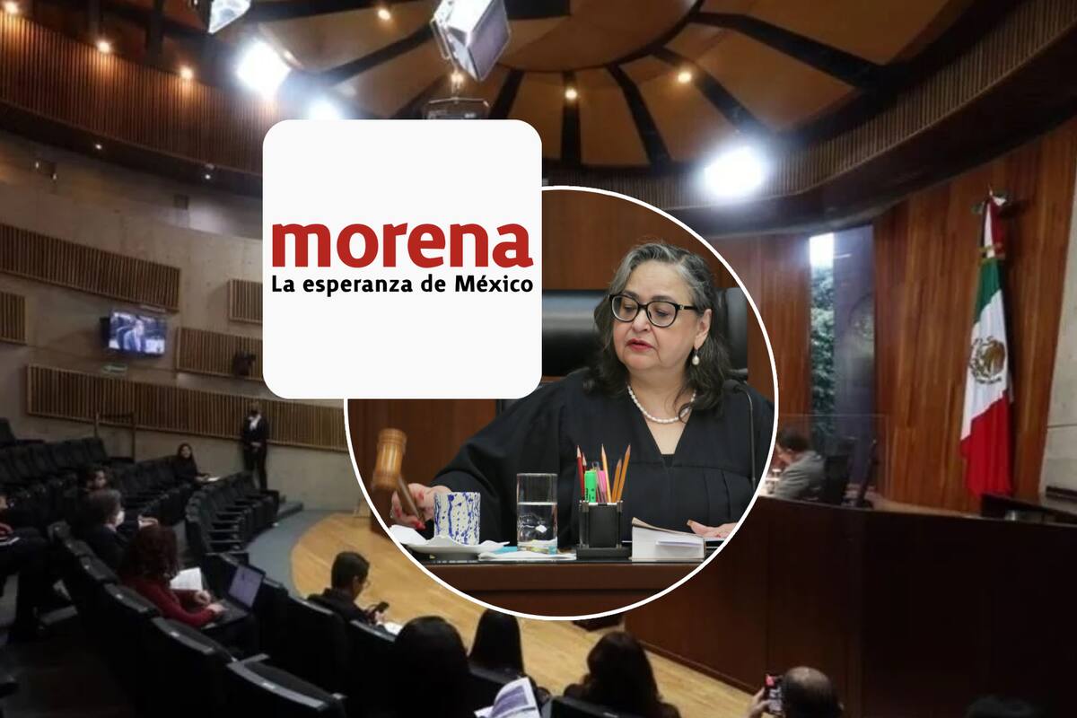 TEPJF daría razón a INE sobre diputados plurinominales de Morena pese a recurso que Piña admitió al PAN