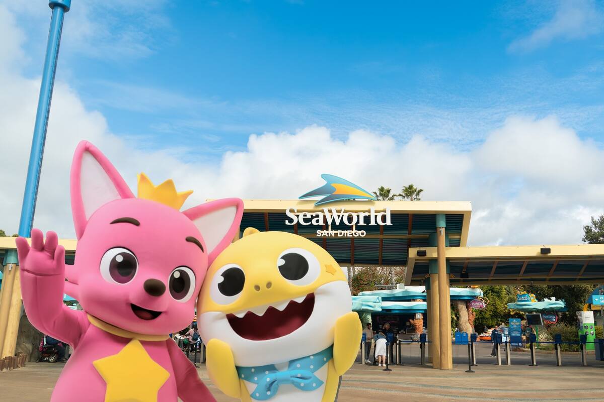 Celebra el décimo aniversario de Baby Shark en SeaWorld