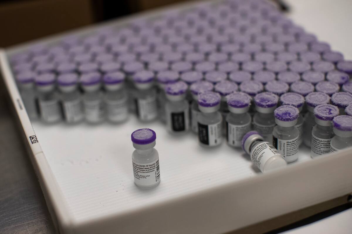 ARCHIVO - En esta fotografía de archivo del lunes 4 de enero de 2021, frascos congelados de la vacuna de Pfizer/BioNTech contra el COVID-19 son colocados a temperatura ambiente para que se descongelen, en el hospital MontLegia CHC en Lieja, Bélgica. (AP Foto/Francisco Seco, archivo)