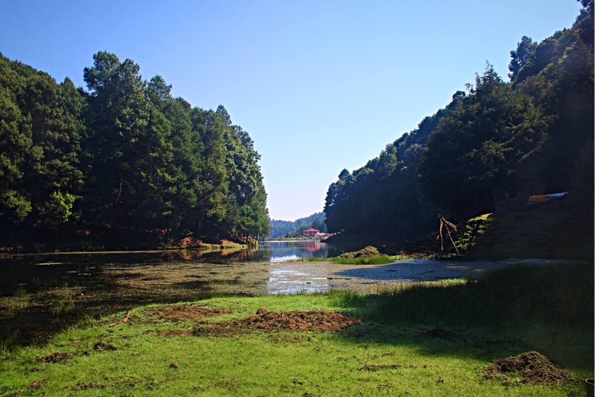¿Cuánto cuesta vivir en destinos boscosos para pasar Navidad?
