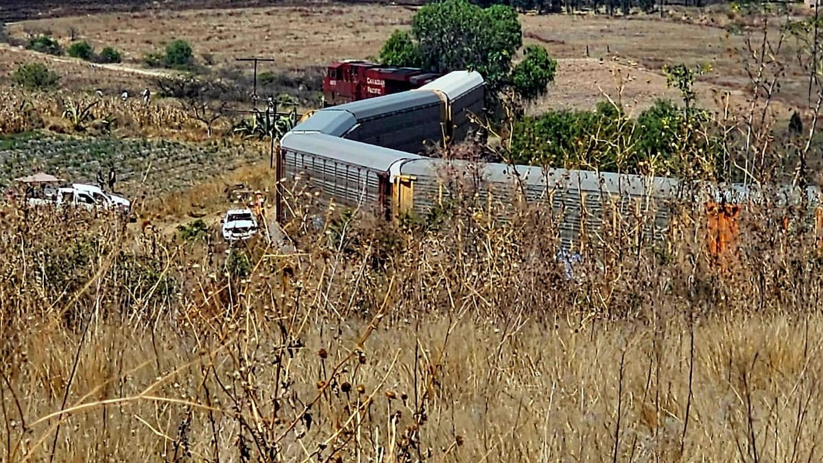 Se descarrila tren en Michoacán: Se movilizan cuerpos de emergencia y personal ferroviario trabaja para restablecer la vía sin reportar heridos