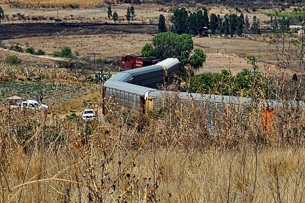 Se descarrila tren en Michoacán: Se movilizan cuerpos de emergencia y personal ferroviario trabaja para restablecer la vía sin reportar heridos