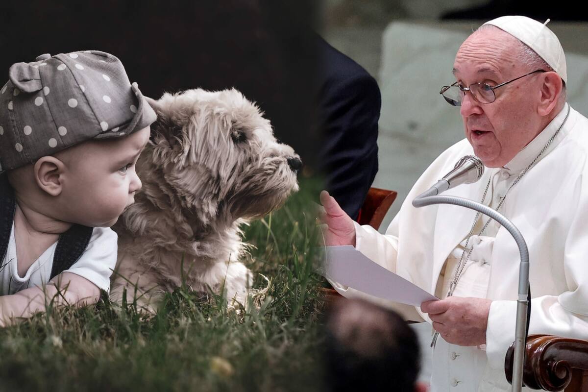 Papa lamenta que se prefiera tener mascotas a hijos, pide facilitar trámites de adopción