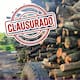 Clausuran centro carbonero en Campeche: operaba sin permisos y almacenaba casi 25 m³ de madera ilegal