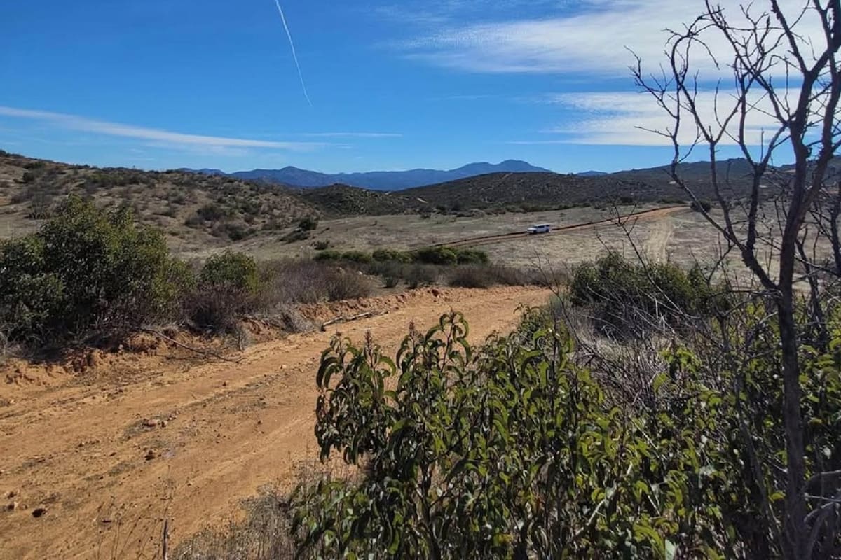 La Ruta del vino sin camino, señala Fetraex