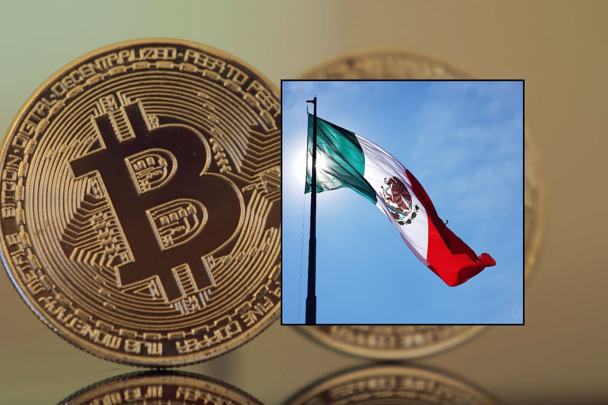 Fraude en criptomonedas en México alcanza el 1.6%: expertos alertan sobre riesgos