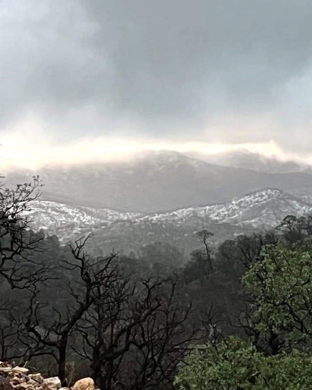 Increíble escena de verano en Sahuaripa: la sierra de Matarachi cubierta de blanco por una intensa granizada.