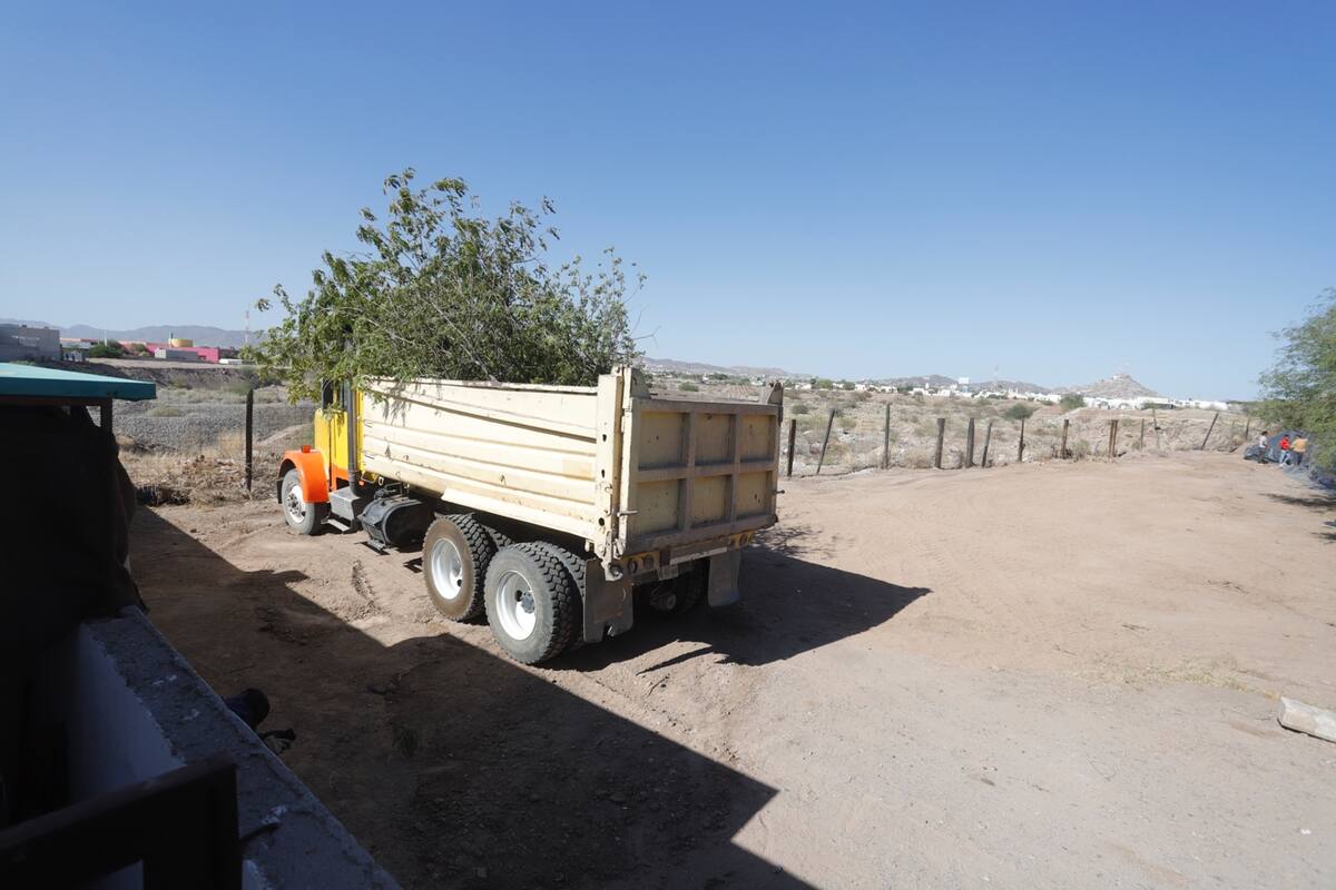 Áreas verdes en disputa ¿qué hacer?