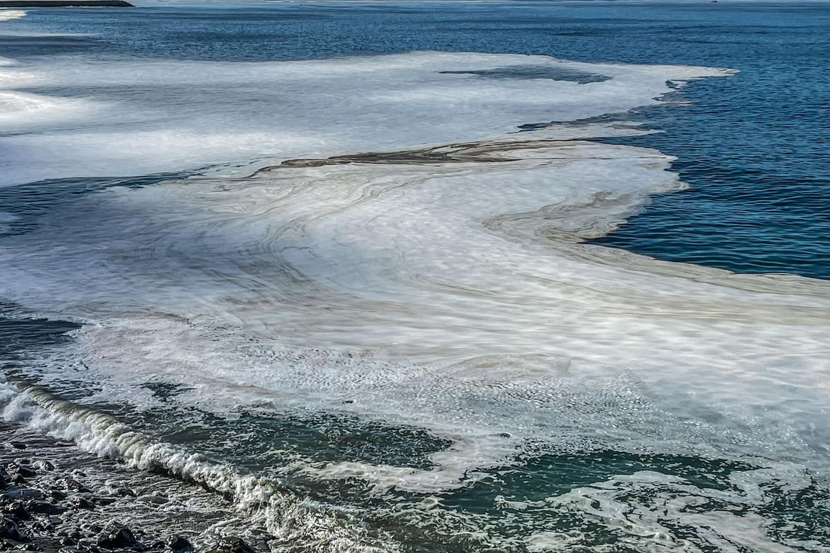 Preocupa agua turbia en el mar de Ensenada