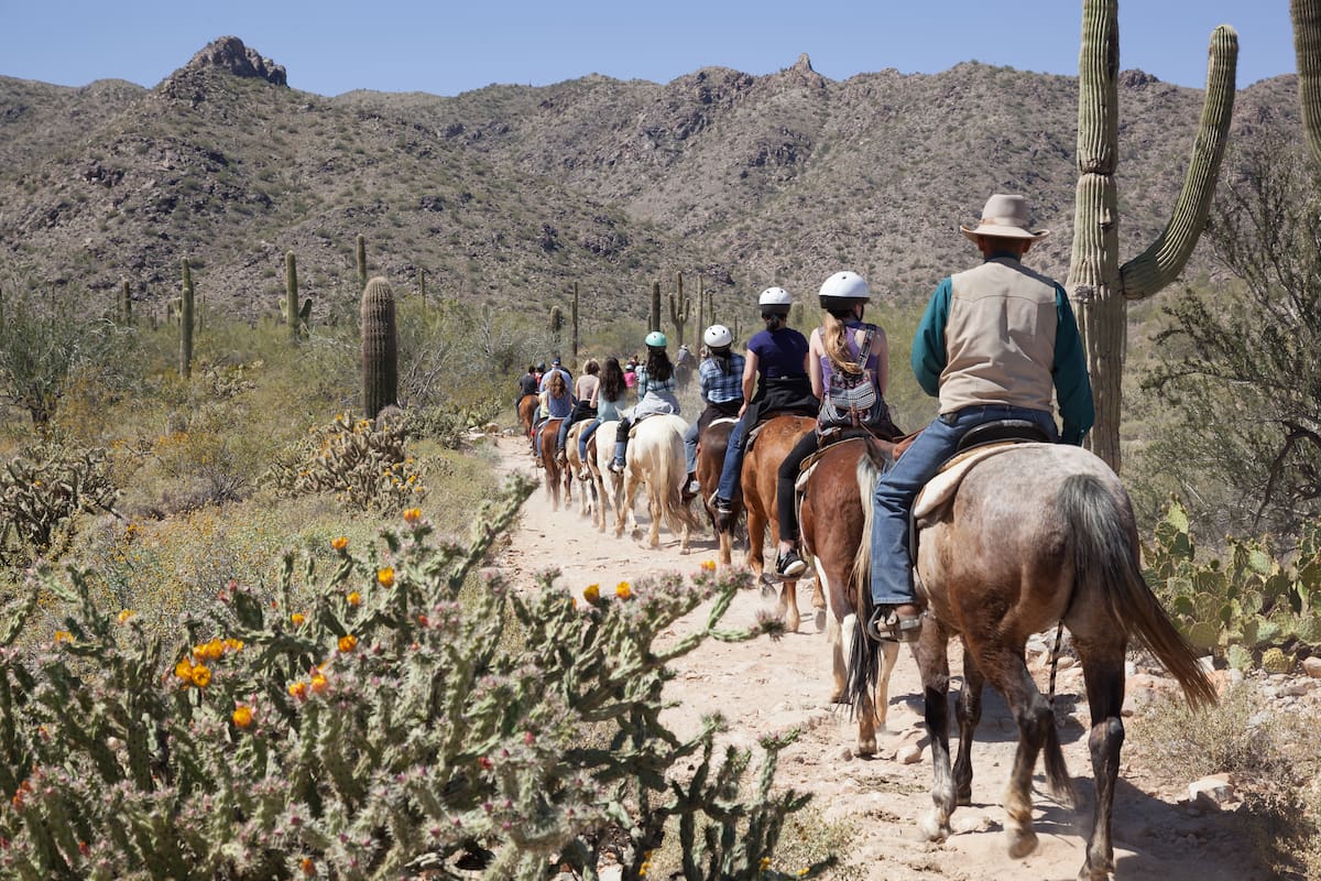 Paseos a caballo en Phoenix, Arizona: Vive la experiencia en la Reserva Indígena del Río Gila