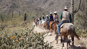 Paseos a caballo en Phoenix, Arizona: Vive la experiencia en la Reserva Indígena del Río Gila