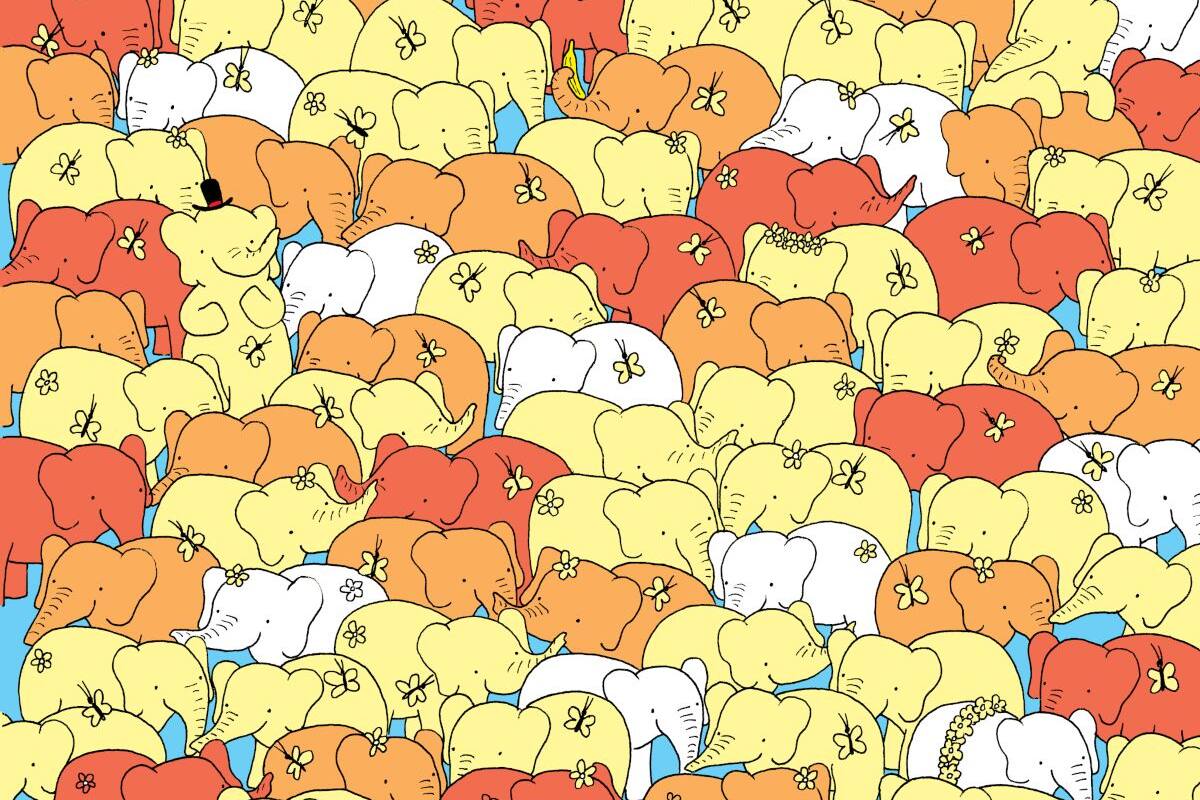 Reto visual: Encuentra un corazón entre los elefantes