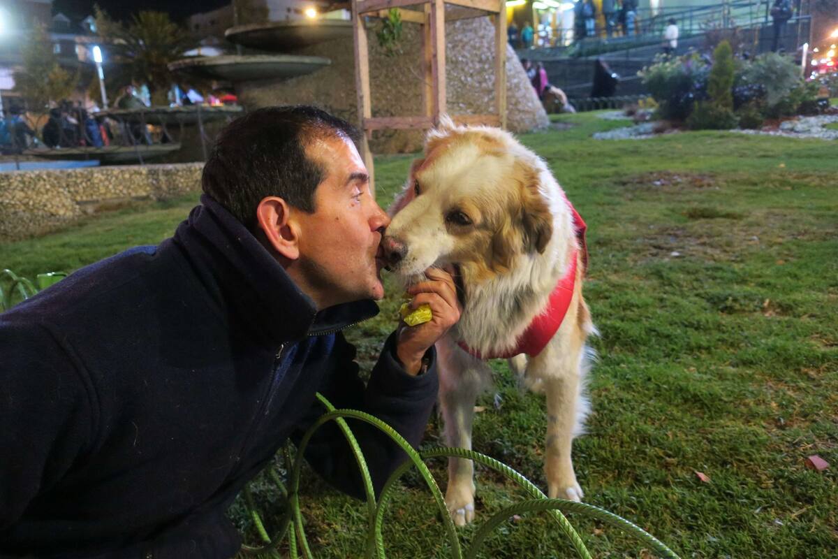 Compran sonorenses seguros de gastos medicos para sus mascotas