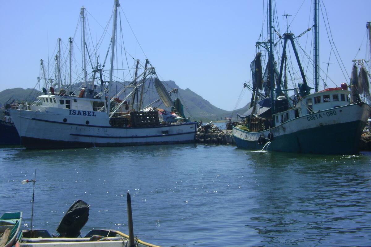 Pescadores de las bahías sonorenses esperan buenas capturas por ‘mareas vivas’