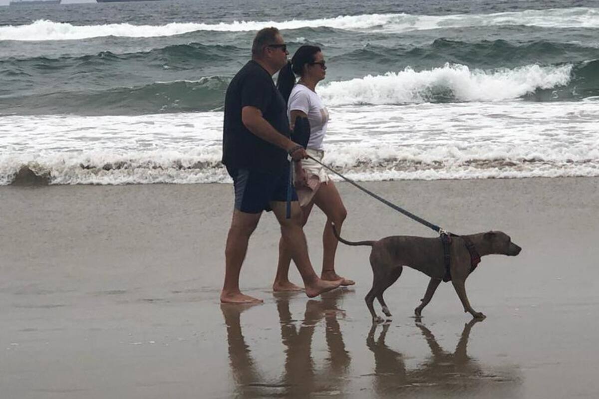 Endurecerán sanciones a dueños irresponsables de mascotas en Rosarito