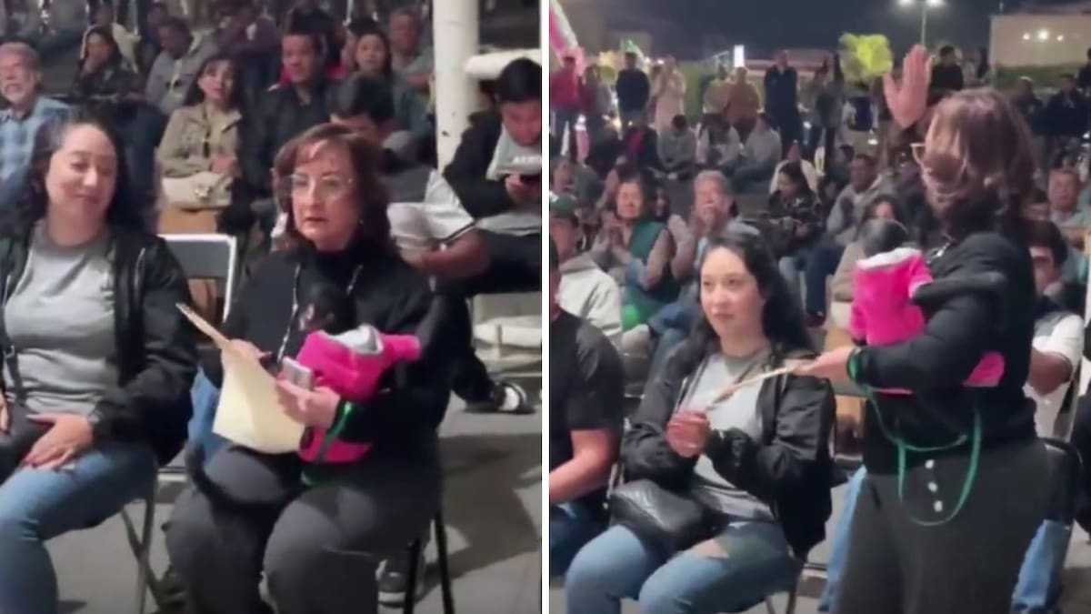 Las claves en el caso de la regidora de Ocotlán que renunció tras video con mono araña: denuncia penal, especies protegidas y publicaciones eliminadas