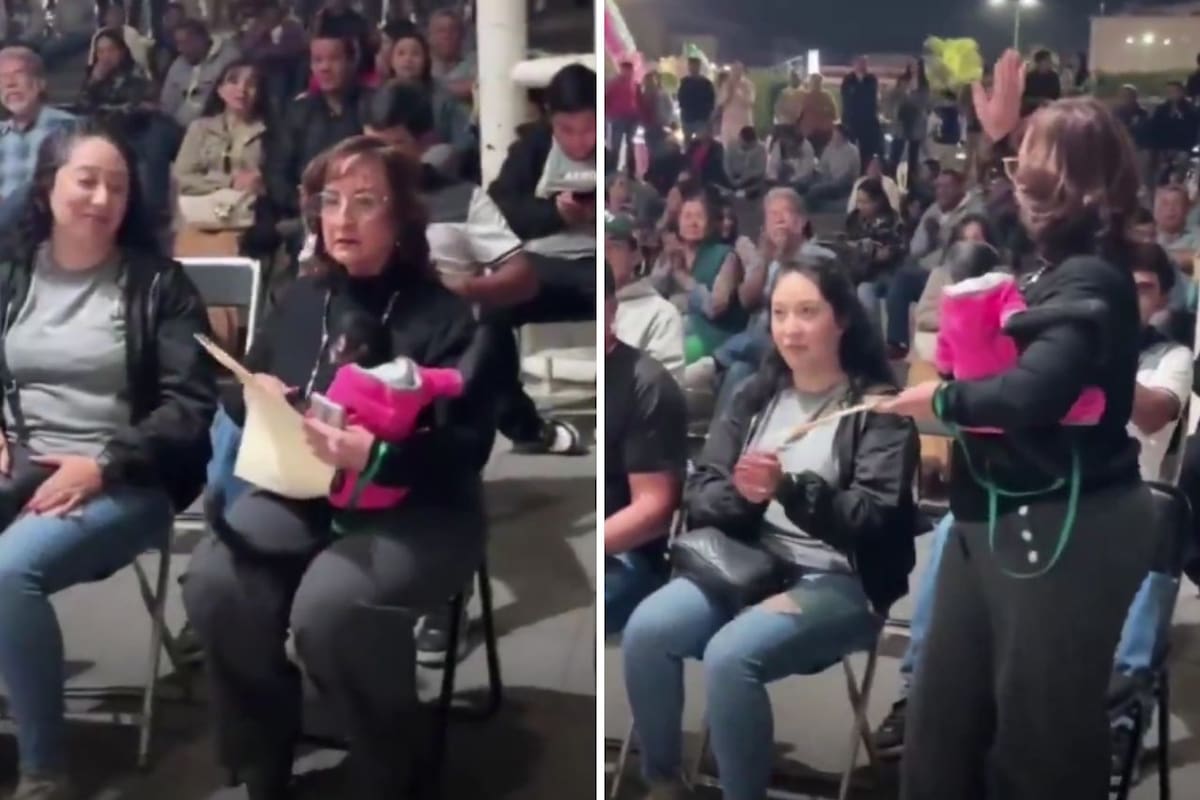 Las claves en el caso de la regidora de Ocotlán que renunció tras video con mono araña: denuncia penal, especies protegidas y publicaciones eliminadas