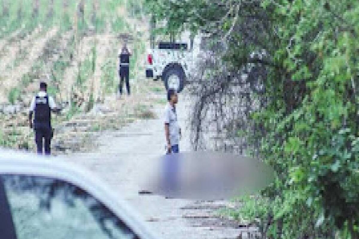 SLP: Siete cuerpos fueron encontrados en Aquismón