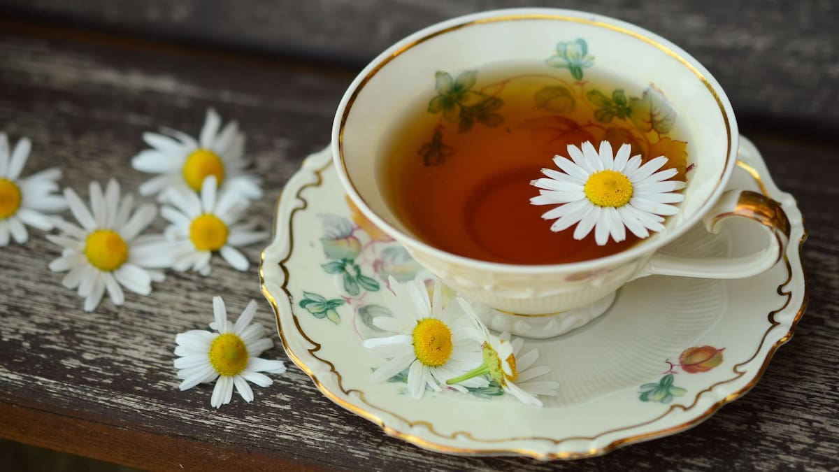 Té de manzanilla