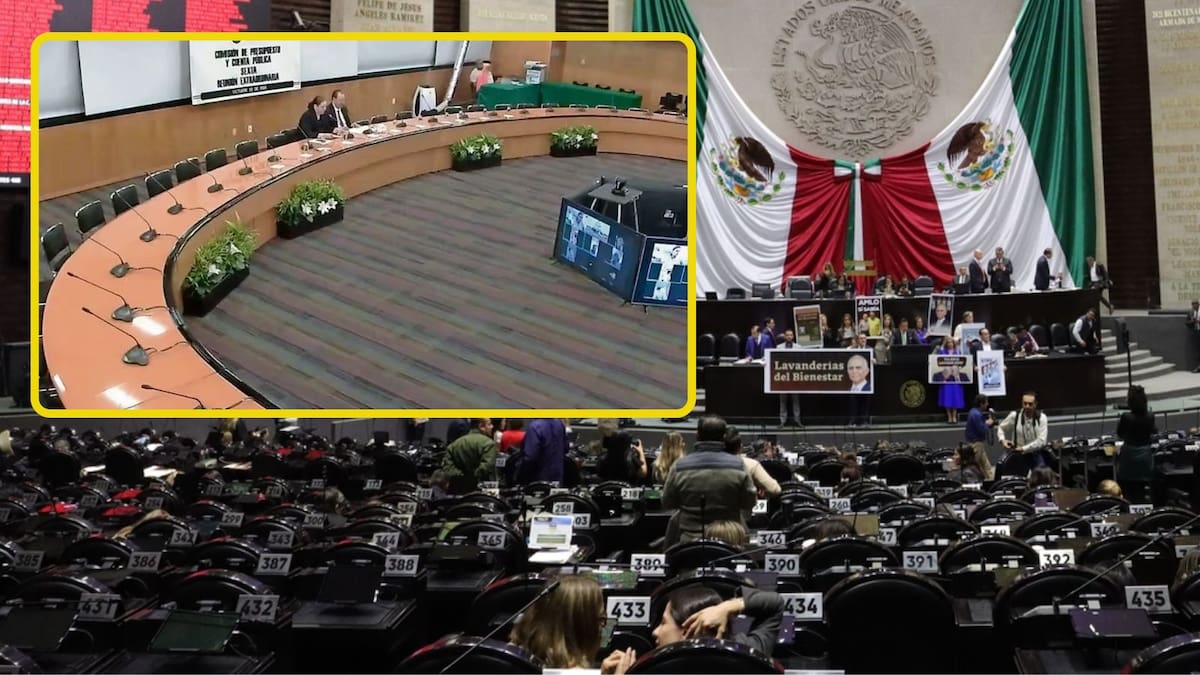 Diputados faltan hasta en home office y ya acumulan más de mil justificantes este 2025: El Universal