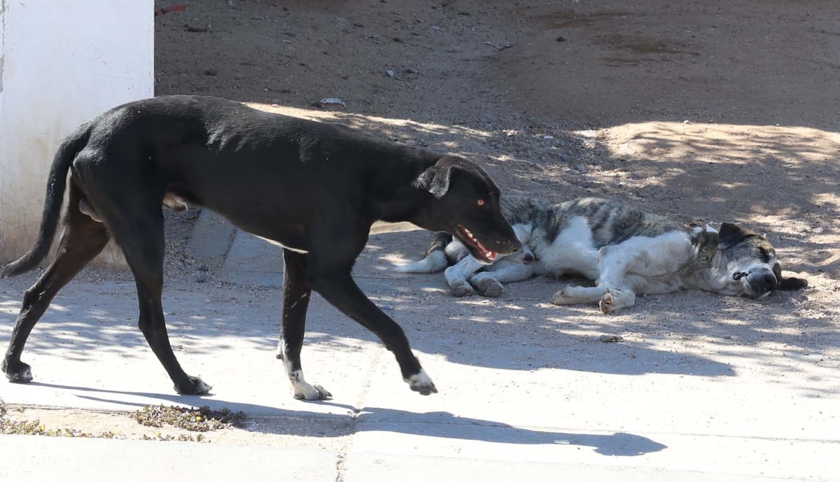 Foto: Teodoro Borbón.