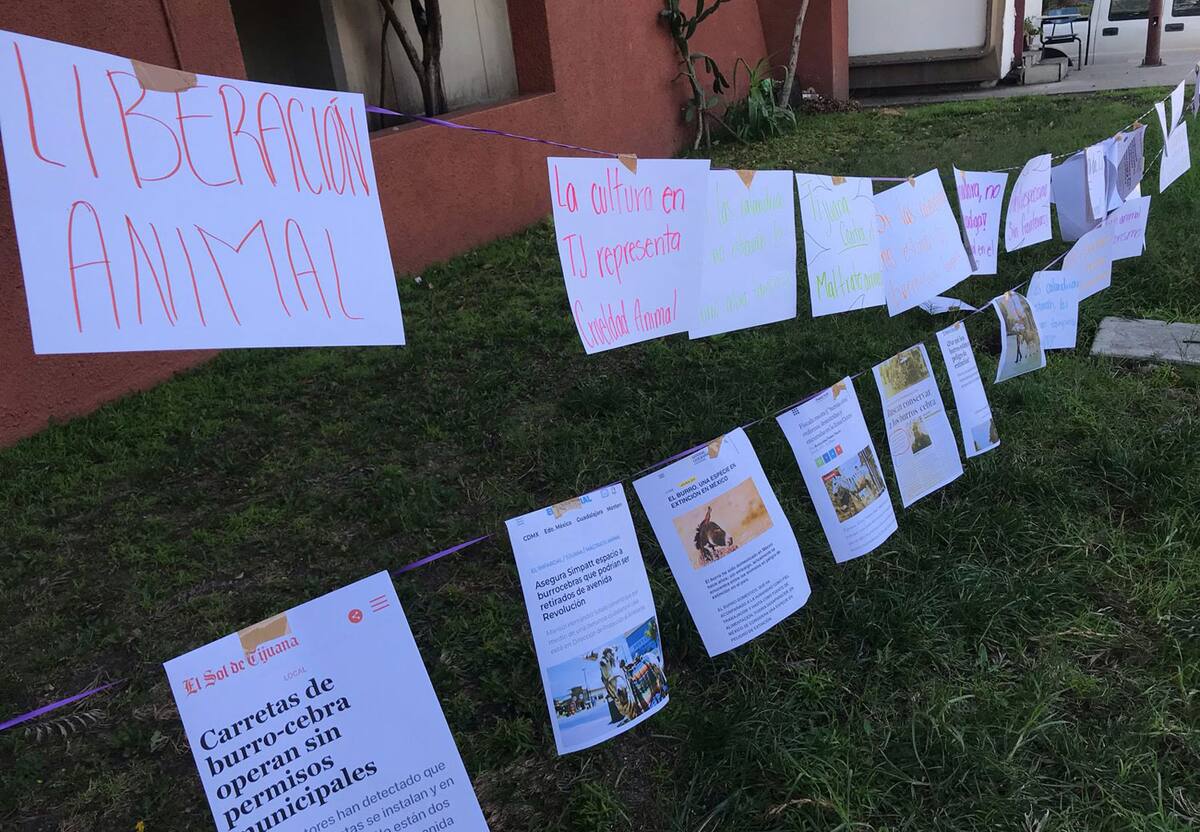 Los miembros del colectivo. montaron un tendedero con notas periodísticas sobre el tema.